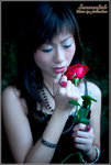 CRW_49258b_2