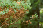 CRW_2069