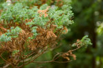 CRW_2071