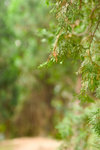 CRW_2073