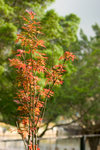 CRW_2081