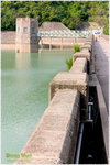 CRW_46810_2