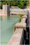 CRW_46811_2