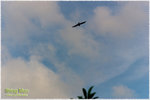 CRW_46834_2