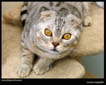 bIMG_3861