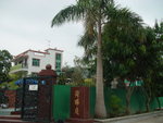 DSC09867