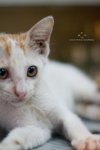 IMG_1770