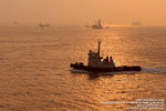 DSC_6383_800