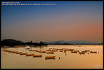DSC_9864_640