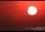IMG_0232_800