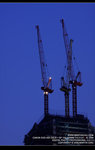 IMG_0293_800