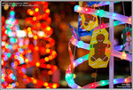 DSC_3019_640