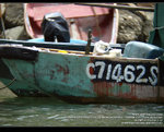 MC191669_800