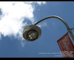 MC231969_800