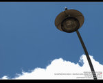 MC231976_800