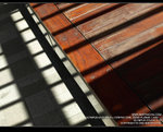 MC231980_800