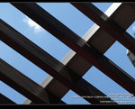 MC231983_800