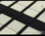 MC231988_800