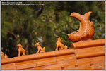 DSC_7341_640