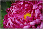 DSC_7382_640