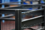 IMG_1523_800