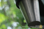 IMG_1531_800