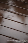 IMG_1568_800