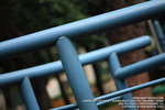 IMG_1588_800