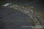 IMG_1618_800