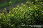 IMG_1626_800