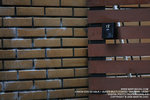 IMG_1646_800