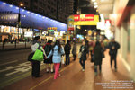 IMG_3230_800