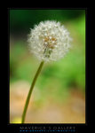 �W������