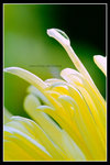 ���ib0001