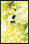 ���ib0014
