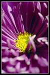 ���ib0016