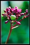 ���ib0035