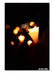 IMG_0253b