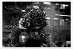 IMG_3973bwb