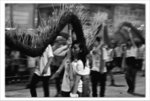 IMG_4065bwb