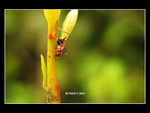 103_0364b