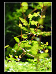 107_0775_r1b
