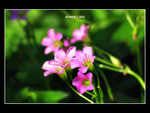 107_0779_r1b