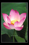 197_9797_r1b