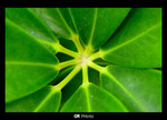 253_5379b