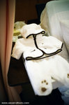 Michael's gift from Bi �j�v.
