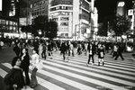 classic Tokyo ped crossing, so crowded, so full of people.  was it Shibuya?
