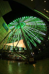 IMG_6640es