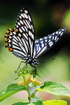 rDSC_4589