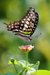 rDSC_4640